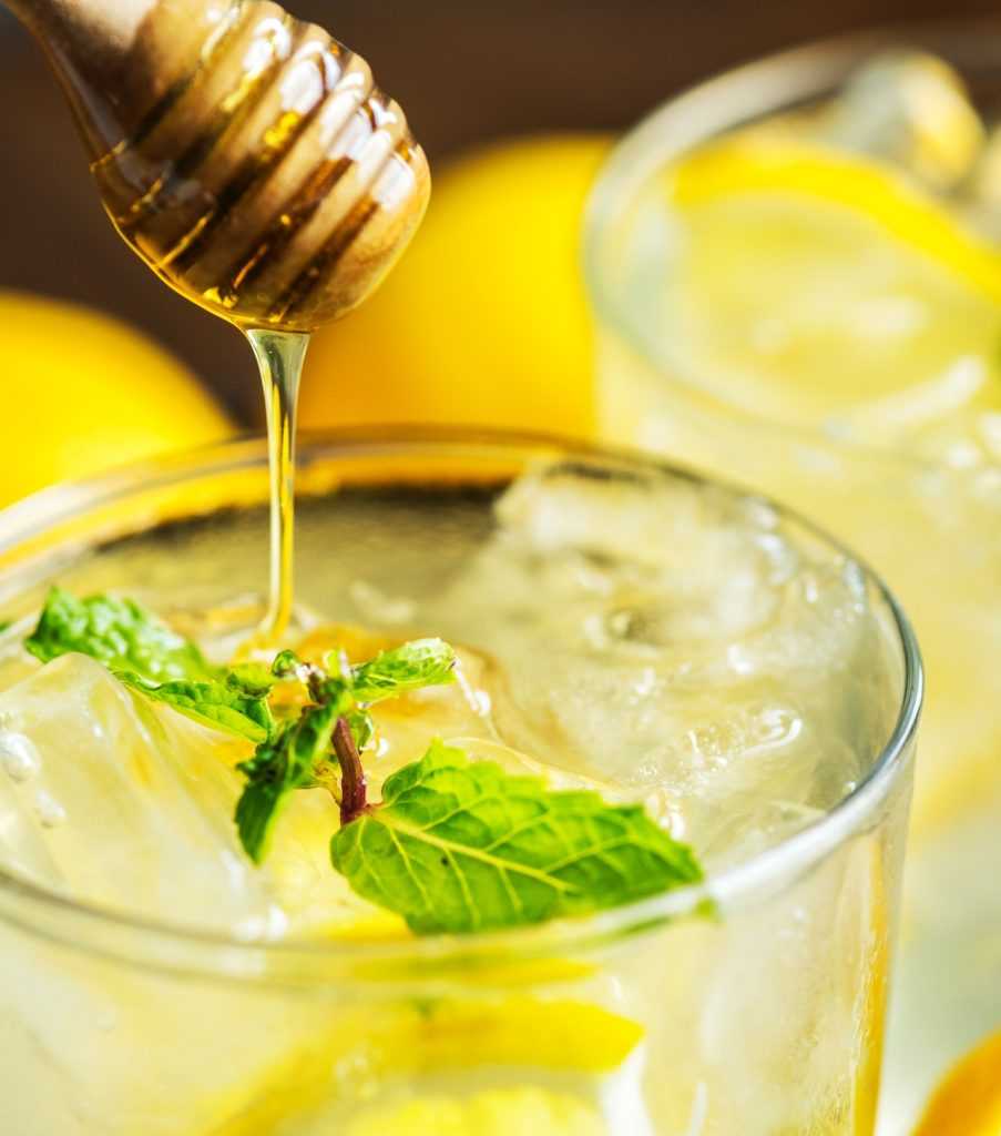 Limonada en la Thermomix