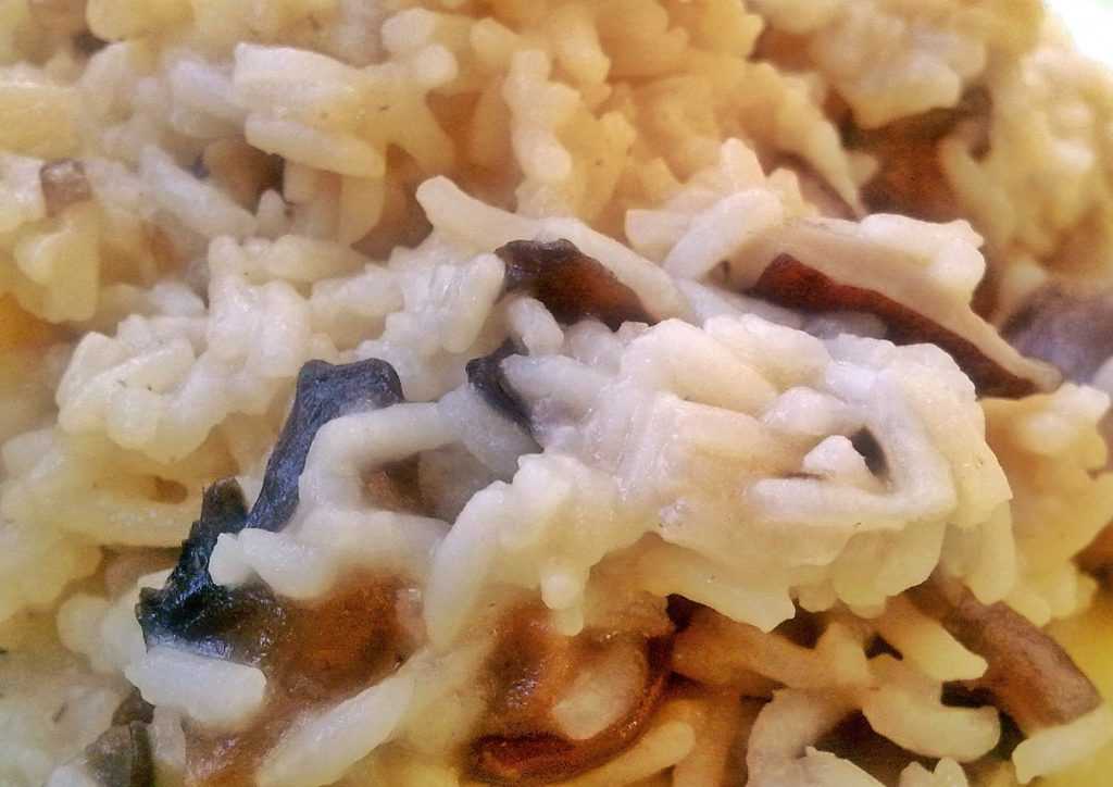 Risotto de setas secas en la Thermomix
