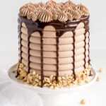 tarta de nocilla en la thermomix