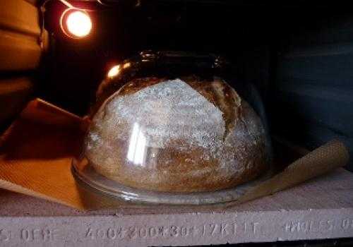 Pan casero de harina común thermomix Pan casero de harina común thermomix