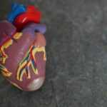 Limpiar arterias con thermomix