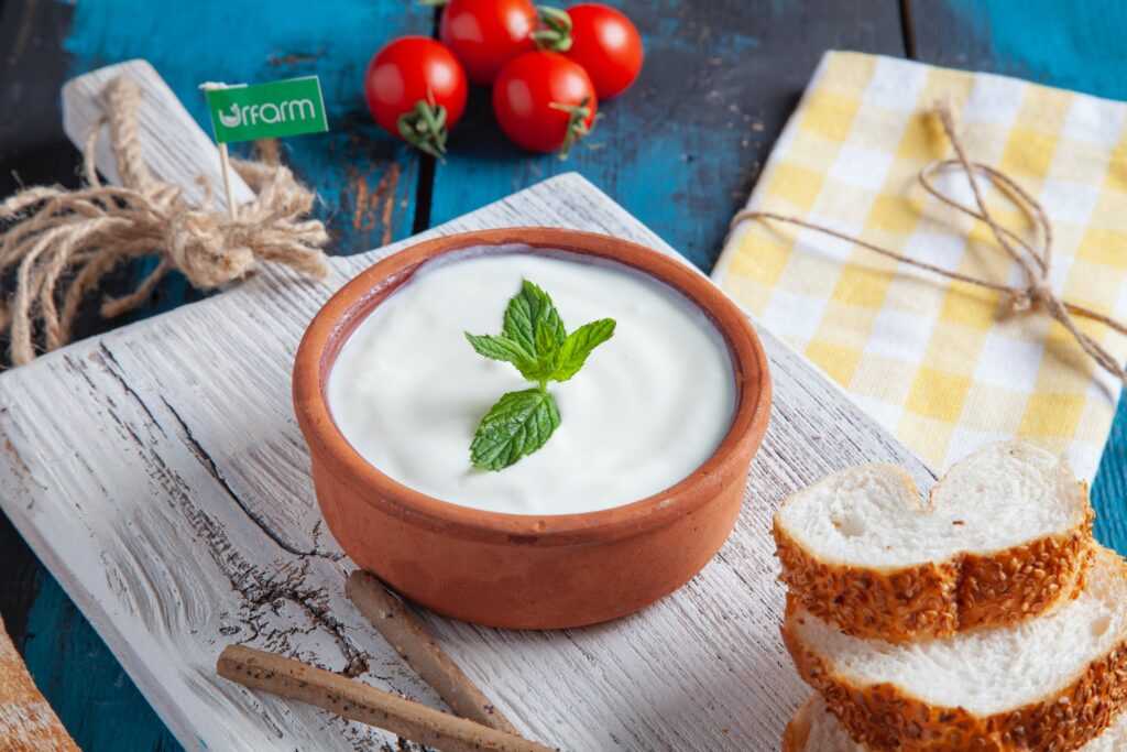 Salsa de yogur con cebollino en la Thermomix