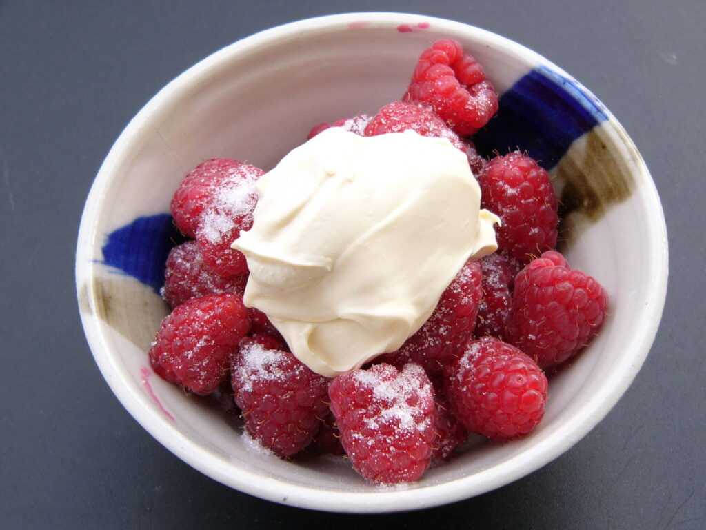 Creme Fraiche en la Thermomix