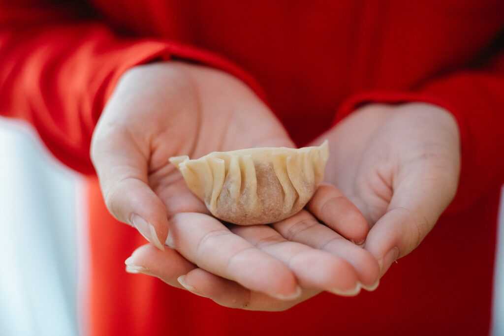 Masa para gyozas en la thermomix